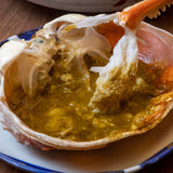 越前がに・ズワイ大~越前漁港前の小松鮮魚店 直送シリーズ