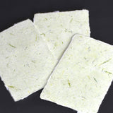 【5/25発売=限定20点】越前水仙 手漉き Flower Paper ポストカード(3枚入り)