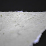 【5/25発売=限定20点】越前水仙 手漉き Flower Paper ポストカード(3枚入り)