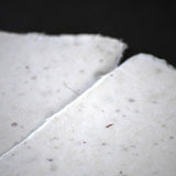 【5/25発売=限定2点】富山産チューリップ Flower Paper ポストカード(3枚入り)