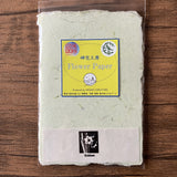 【5/25発売=限定20点】越前水仙 手漉き Flower Paper ポストカード(3枚入り)