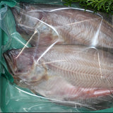 干しがれい(大) 5枚~越前漁港前の小松鮮魚店 直送シリーズ~送料込み