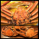 越前がに・ズワイ中1杯+セイコ3杯セット~越前漁港前の小松鮮魚店 直送シリーズ