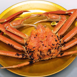 越前がに・ズワイ特大~越前漁港前の小松鮮魚店 直送シリーズ
