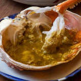 越前がに・ズワイ600g前後~越前漁港前の小松鮮魚店 直送シリーズ