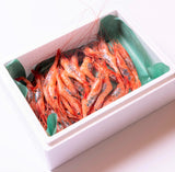 甘えび ~越前漁港前の小松鮮魚店 直送シリーズ~