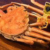 越前がに・セイコ(大)5杯セット~越前漁港前の鮮魚店直送シリーズ